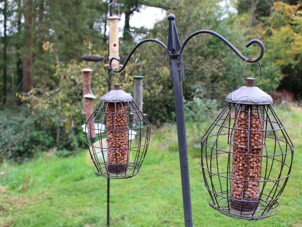 Bird feeders hanging on a metal frame in a garden at Narracott Down in South Molton