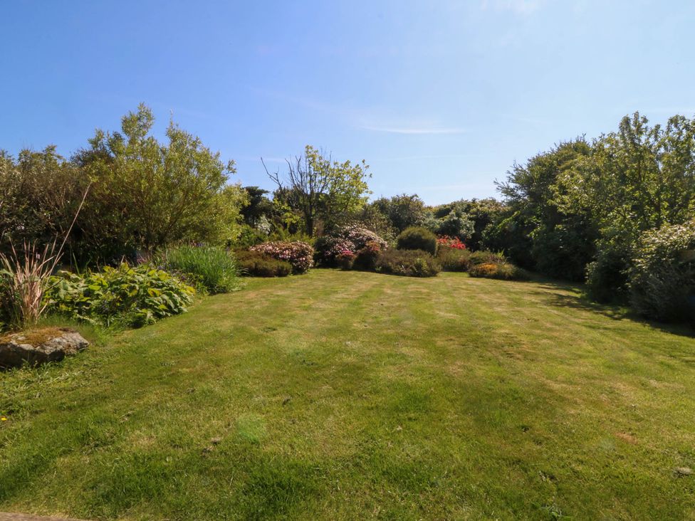 A garden with a grass lawn surrounded by bushes and trees at Ael Y Fron in Aberdaron