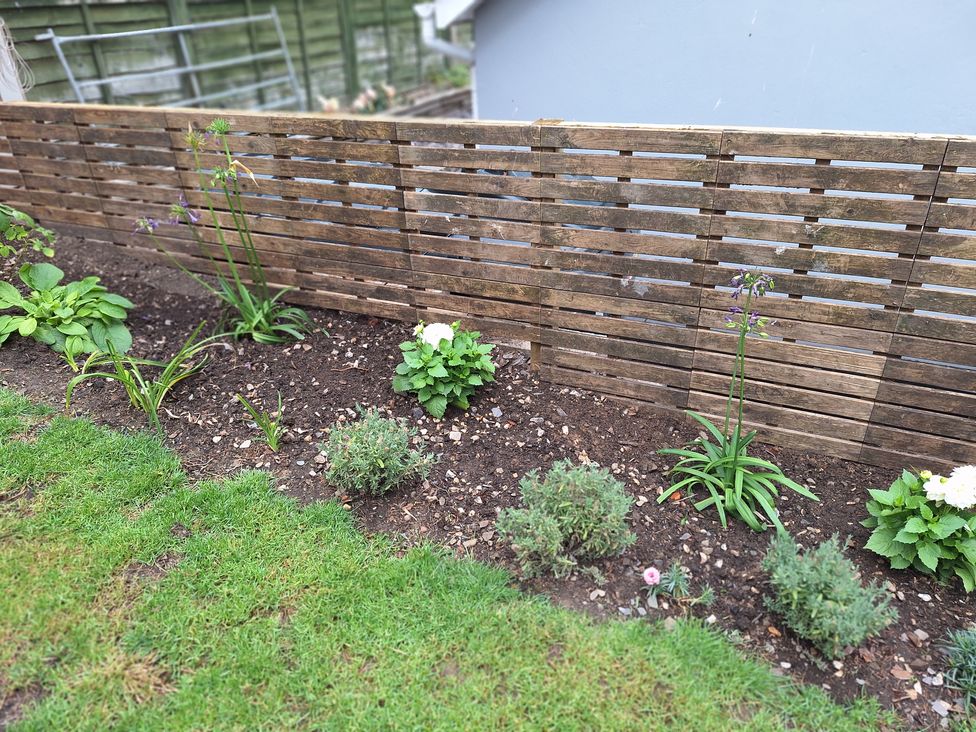 Clematis Cottage - Shropshire - 1126639 - thumbnail photo 31