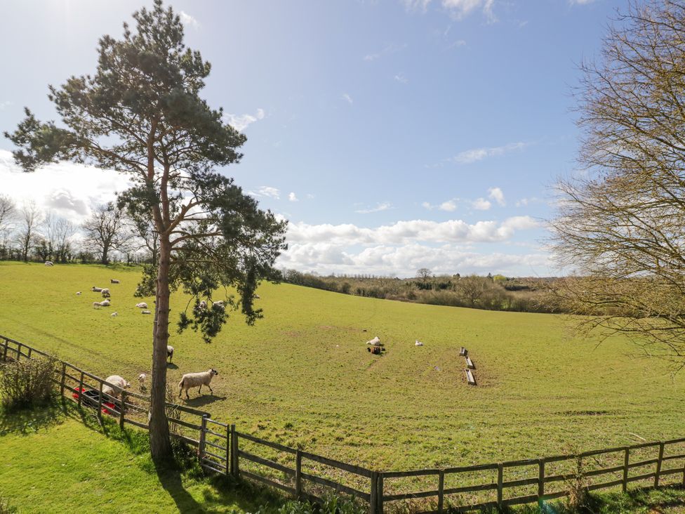 New House Farm - Cotswolds - 1126648 - thumbnail photo 31