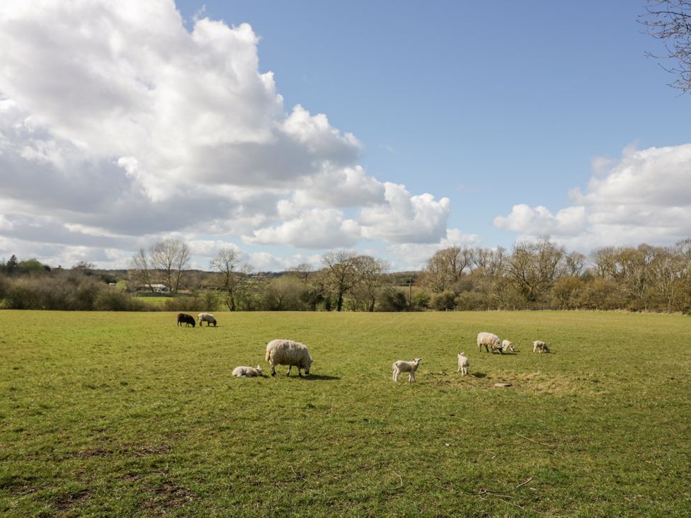 New House Farm - Cotswolds - 1126648 - thumbnail photo 33