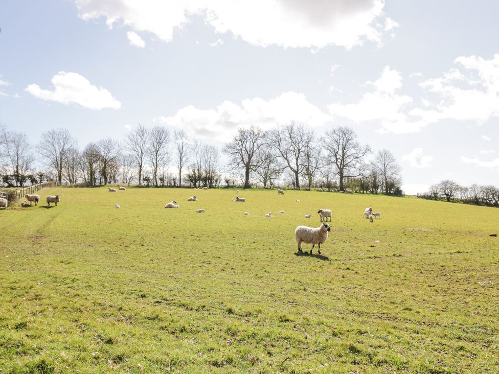 New House Farm - Cotswolds - 1126648 - thumbnail photo 34