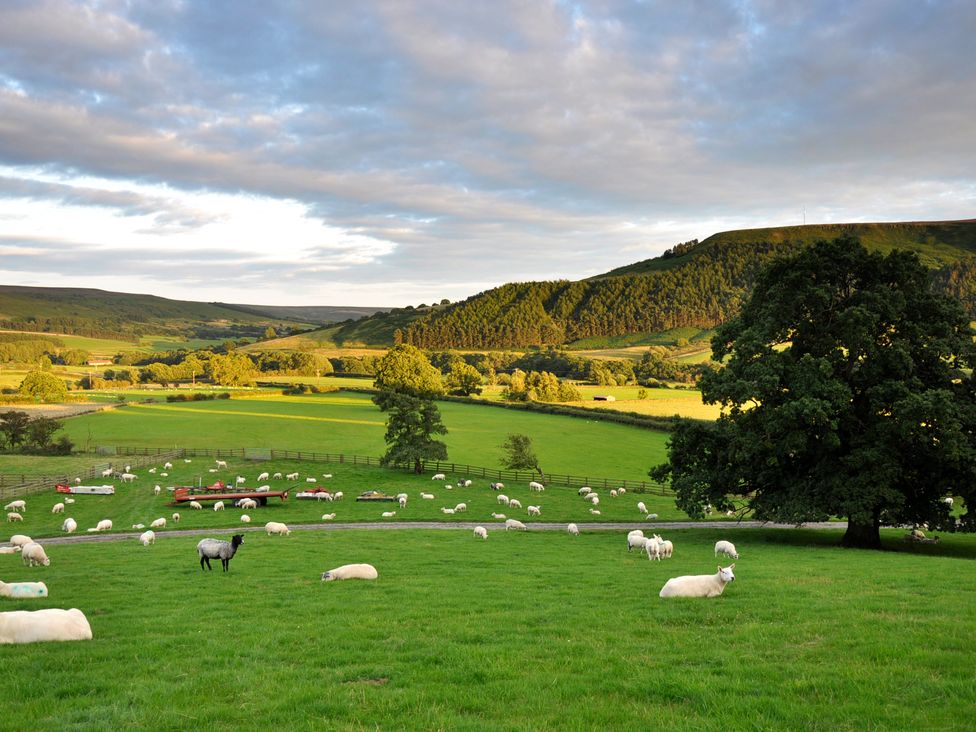 Sheep Cote Shepherds Hut - North Yorkshire (incl. Whitby) - 1126877 - thumbnail photo 17