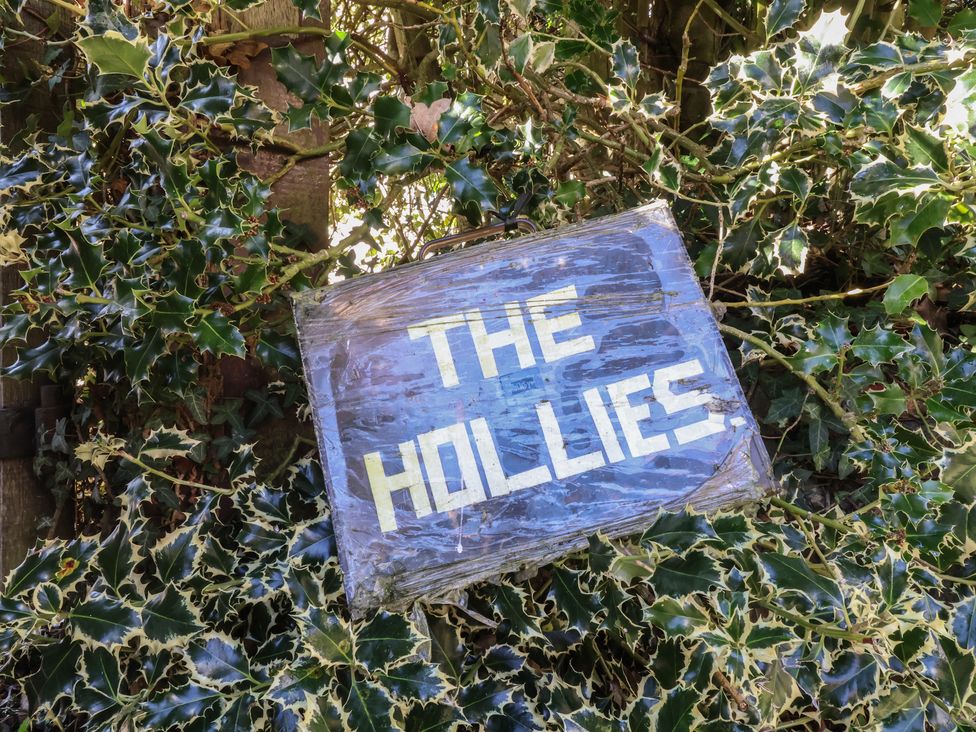 The Hollies - Suffolk & Essex - 1127123 - thumbnail photo 3