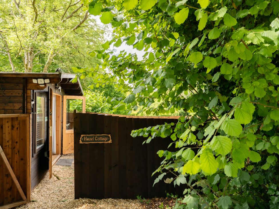 An entrance to Hazel Cottage surrounded by trees at Hazel in Blandford Forum
