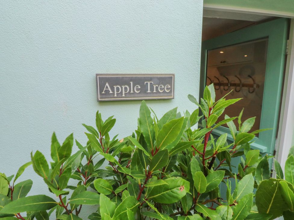 Apple Tree Cottage - Devon - 1127298 - thumbnail photo 1