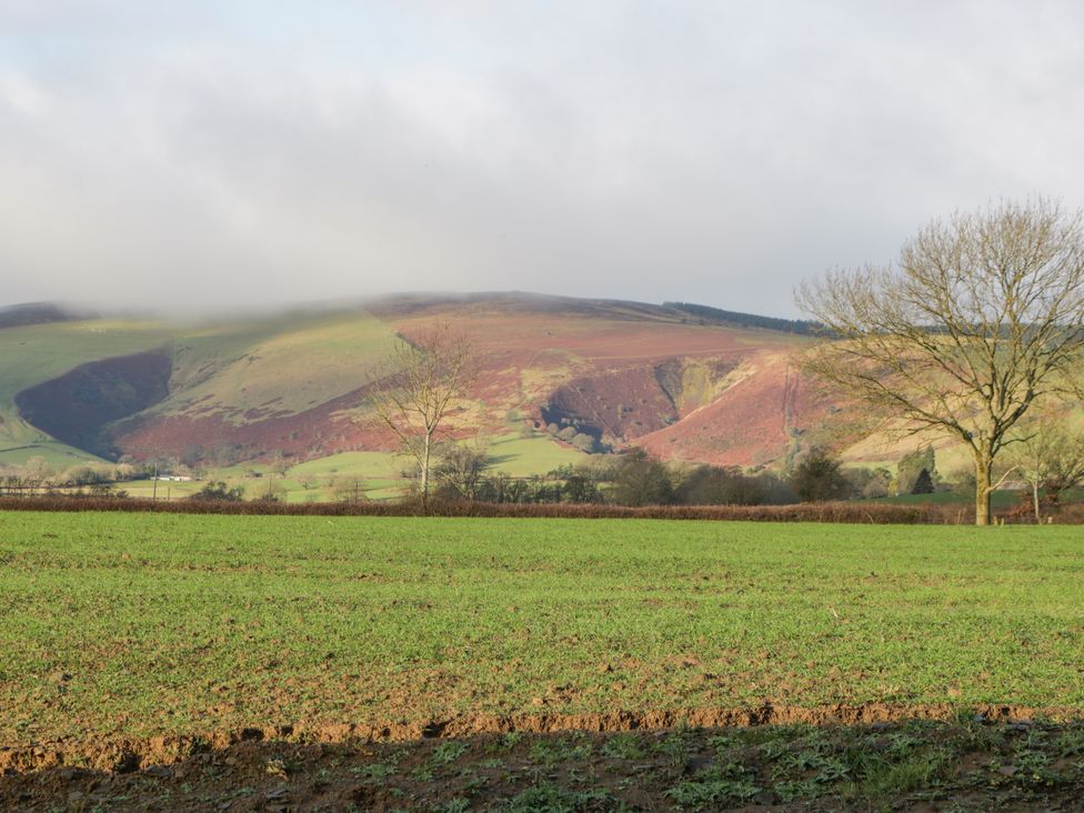 Evenjobb Court Farmhouse - Mid Wales - 1127715 - thumbnail photo 92