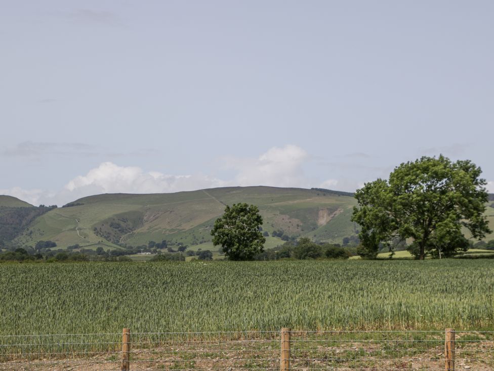 A field with trees and hills at Evenjobb Court Farmhouse Evenjobb near Presteigne