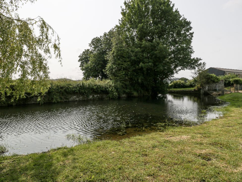 A pond with trees and grass at Evenjobb Court Farmhouse Evenjobb near Presteigne