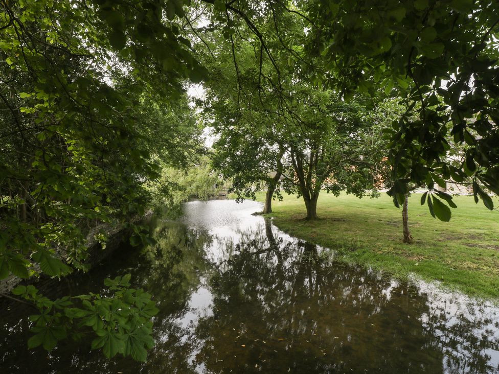 A serene outdoor area with trees and water reflections at Evenjobb Court Farmhouse near Presteigne