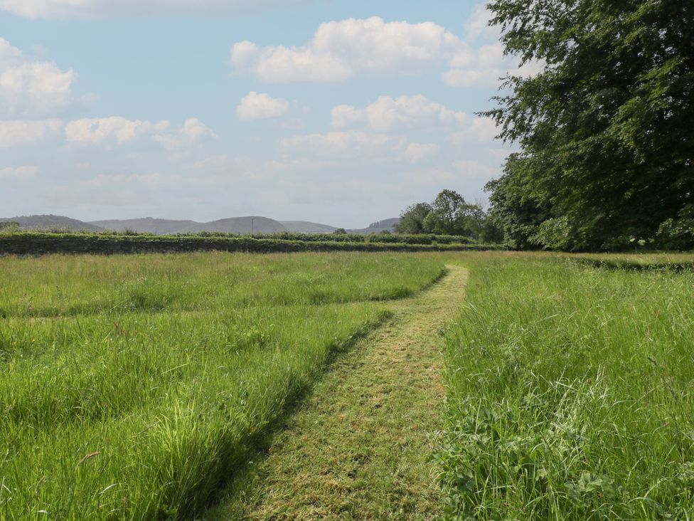 A path through grass fields at Evenjobb Court Farmhouse near Presteigne