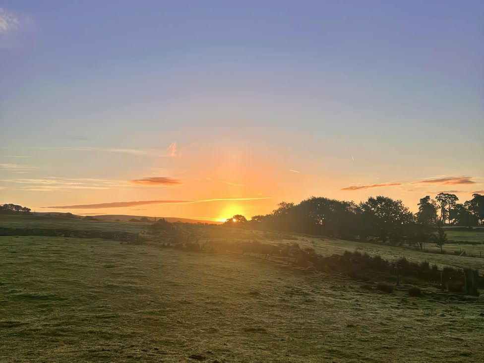 A field at sunrise with trees in the background at Ty Drws Nesaf in Cwmllynfell