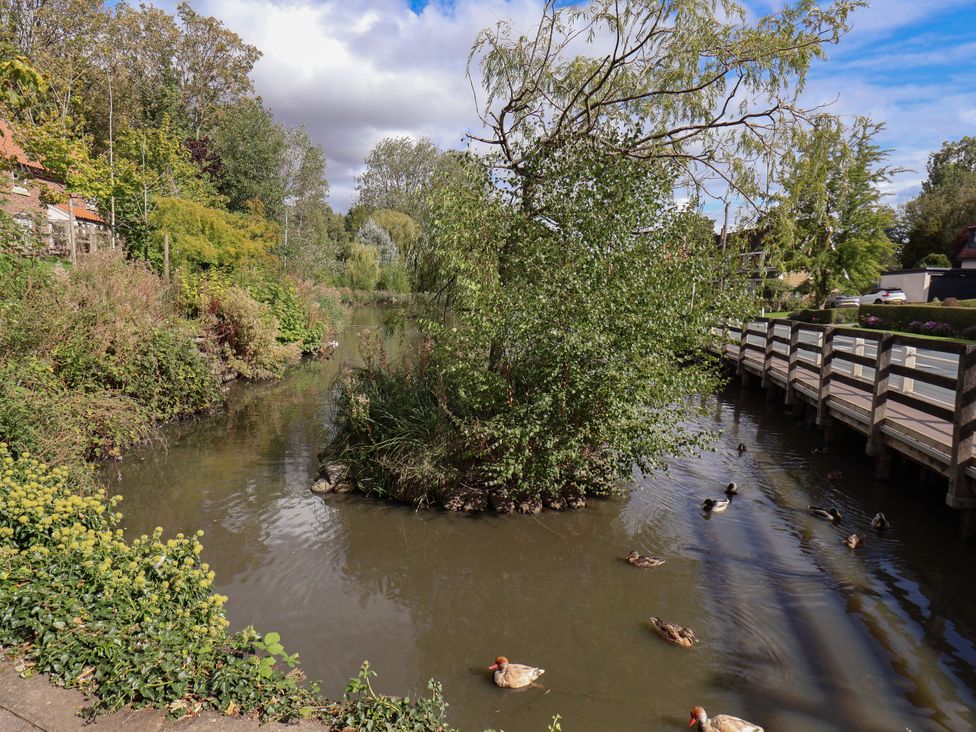 A view of a stream with ducks and a wooden bridge at Meadow View Beverley near Walkington