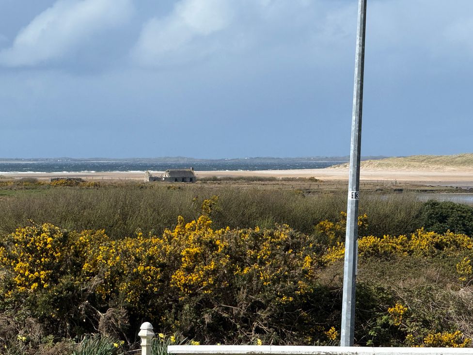 A view of a beach with a house and gorse bushes at Geesala