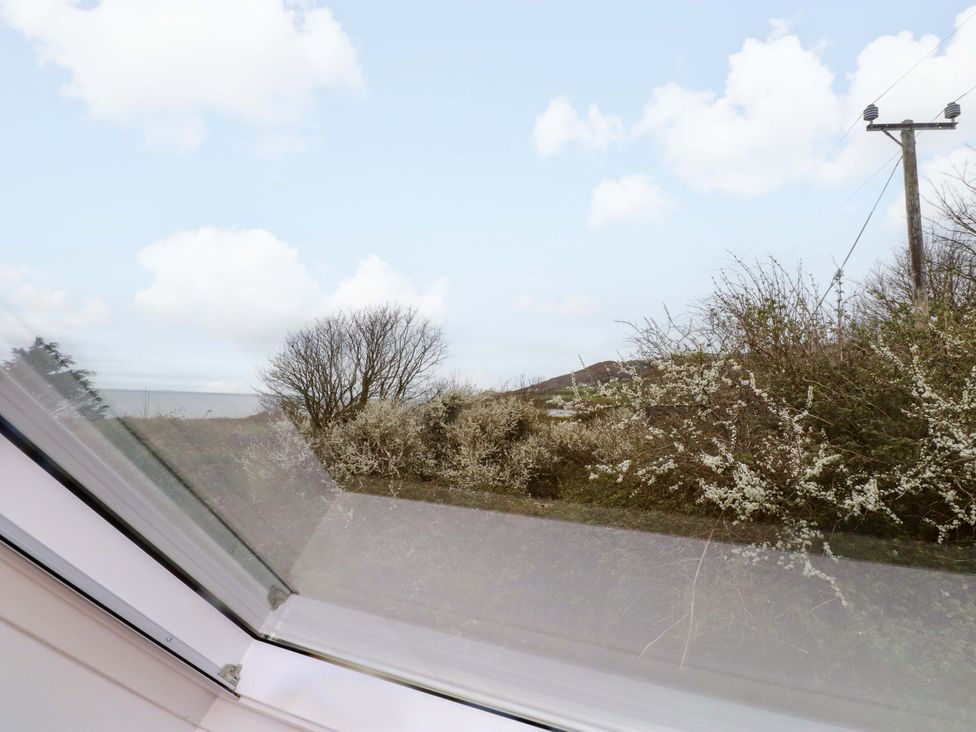 A view from a window showing trees and bushes at Belan Wen in Llanddona near Pentraeth