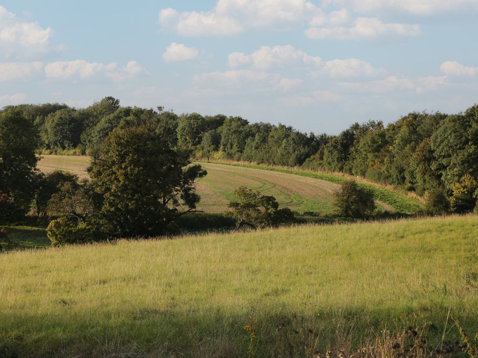 Beech - Cotswolds - 1128895 - thumbnail photo 25