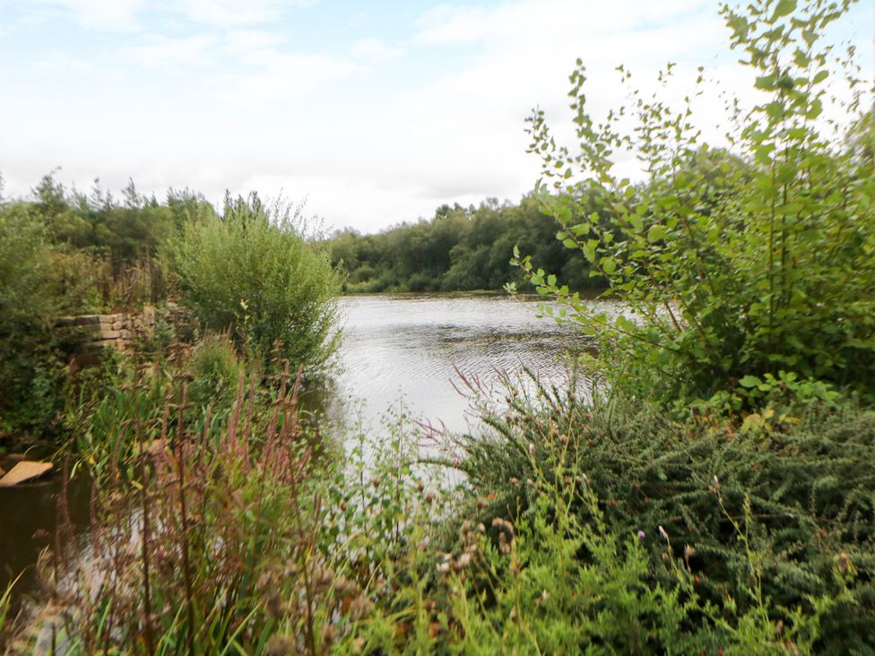 A view of a lake surrounded by vegetation at Hardwick, Darley Moor near Two Dales