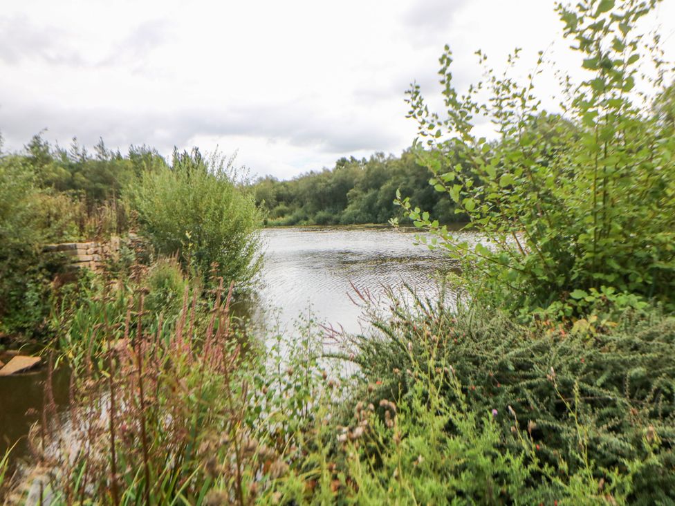 A view of a lake surrounded by trees and bushes at Hartington in Darley Moor near Two Dales