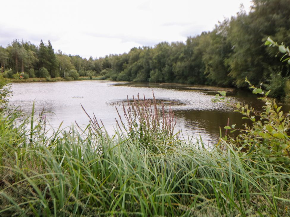 A view of a lake surrounded by grass and trees at Hartington near Darley Moor