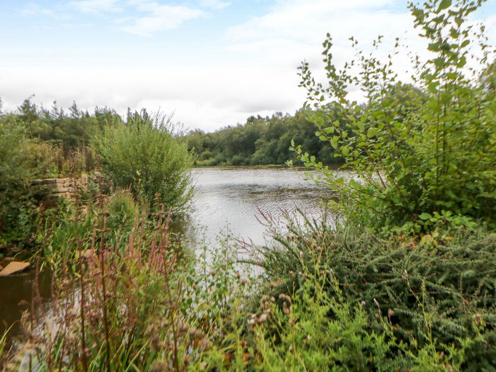 A view of a lake surrounded by vegetation at Riber in Darley Moor near Two Dales