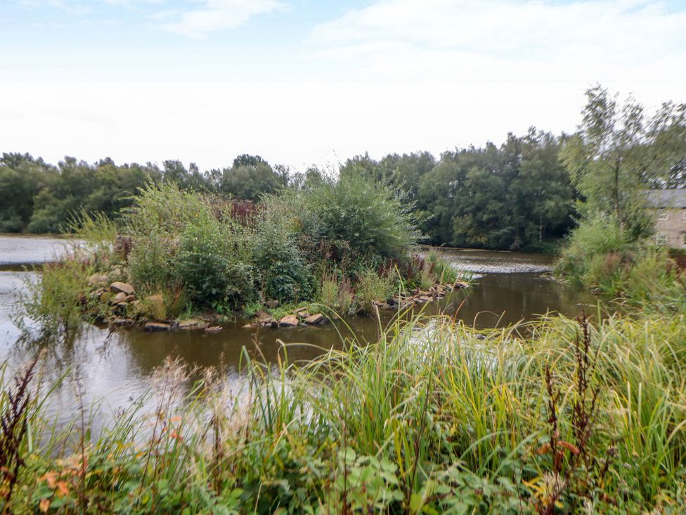 A water body with an island and surrounding vegetation at Riber in Darley Moor near Two Dales
