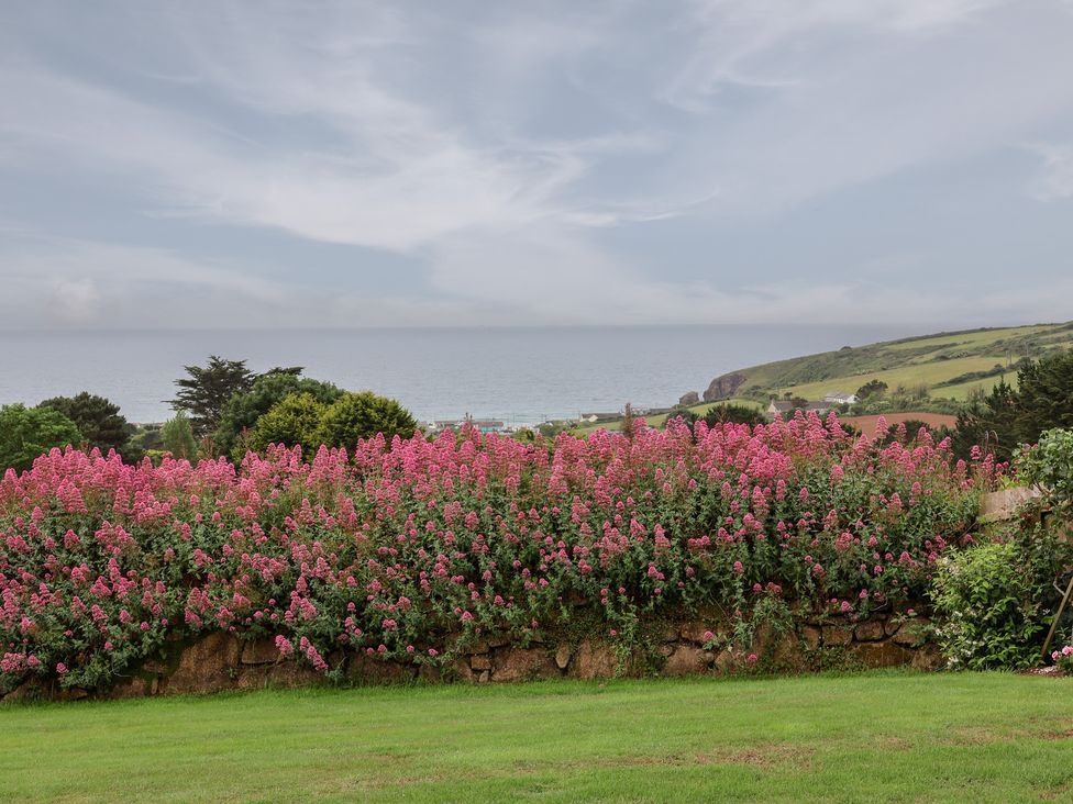 A view of flowers and sea at Greenside Studio, Praa Sands