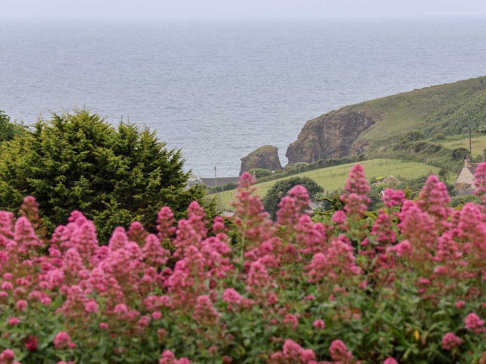 A view of the ocean with cliffs and flowers at Greenside Studio in Praa Sands