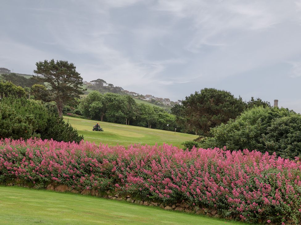 A landscape with flowers and trees at Greenside Studio Praa Sands