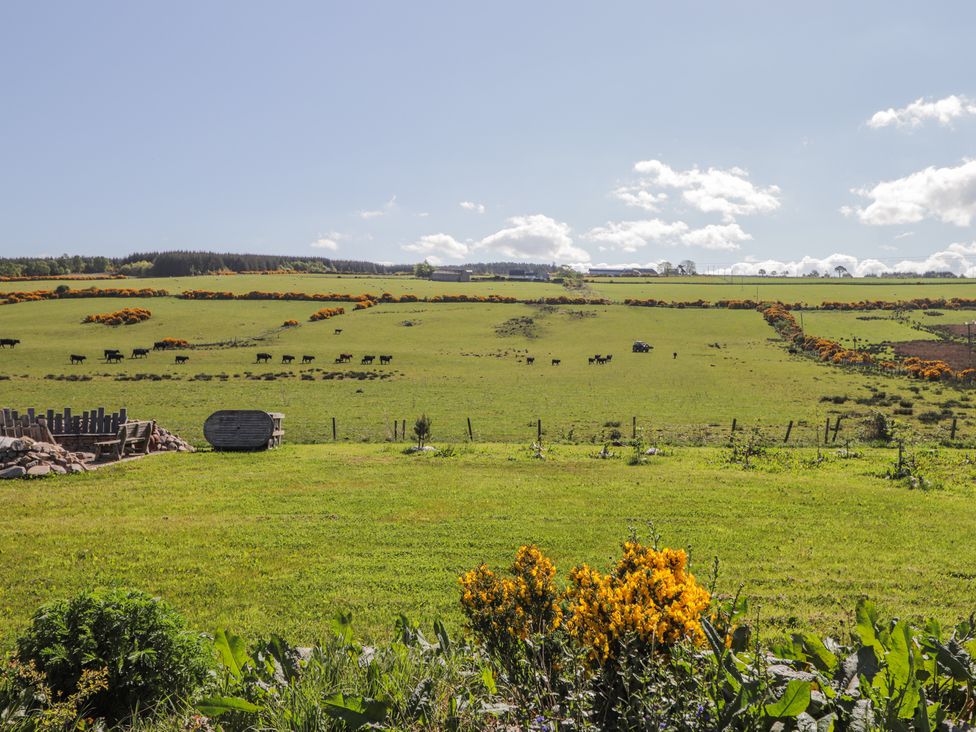 Easter Blervie - Scottish Lowlands - 1129502 - thumbnail photo 31