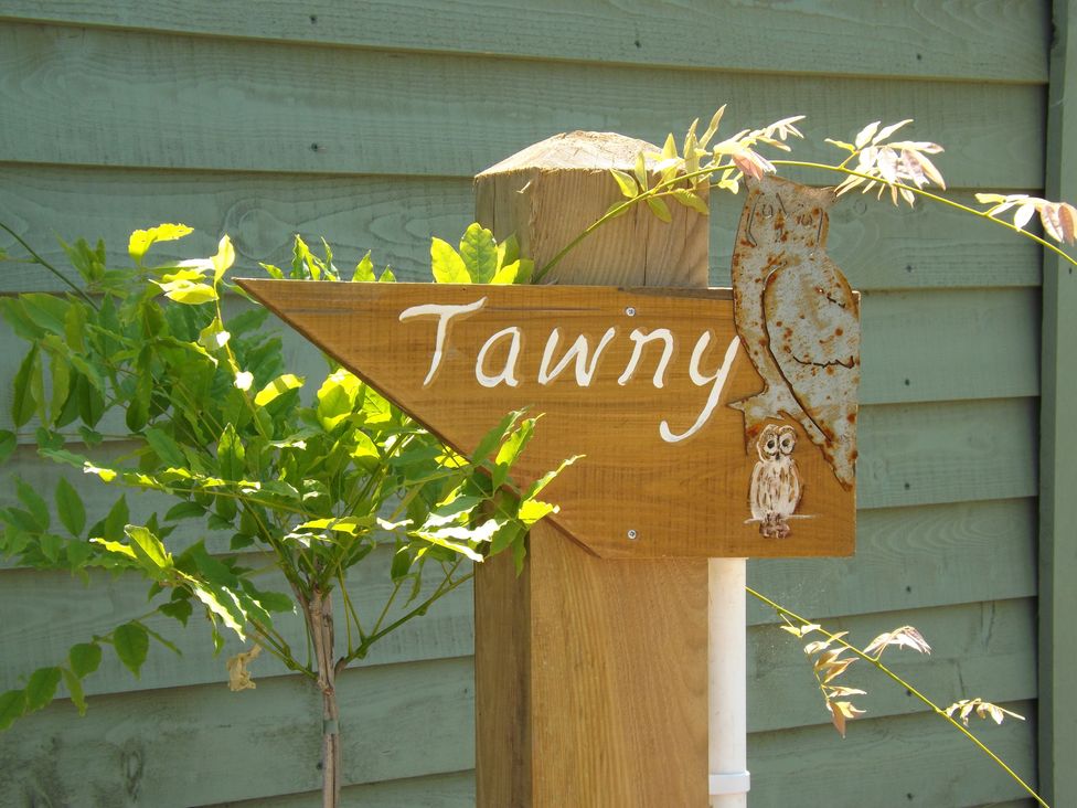 Tawny - Devon - 1129521 - thumbnail photo 12