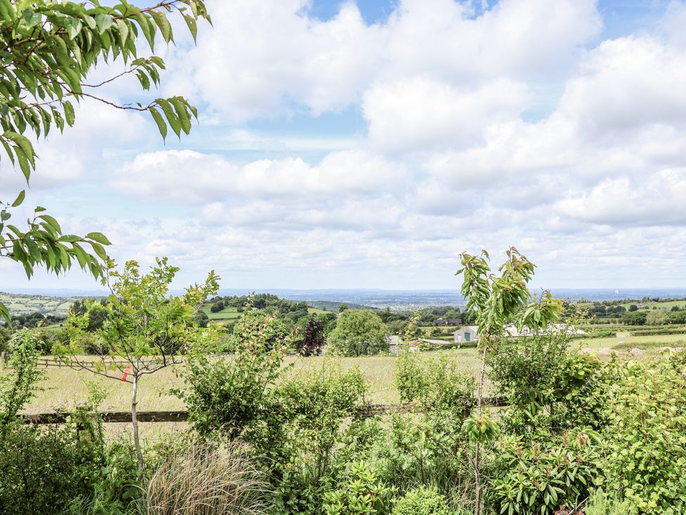 A view of hills and fields with trees at Fern Cottage in Biddulph