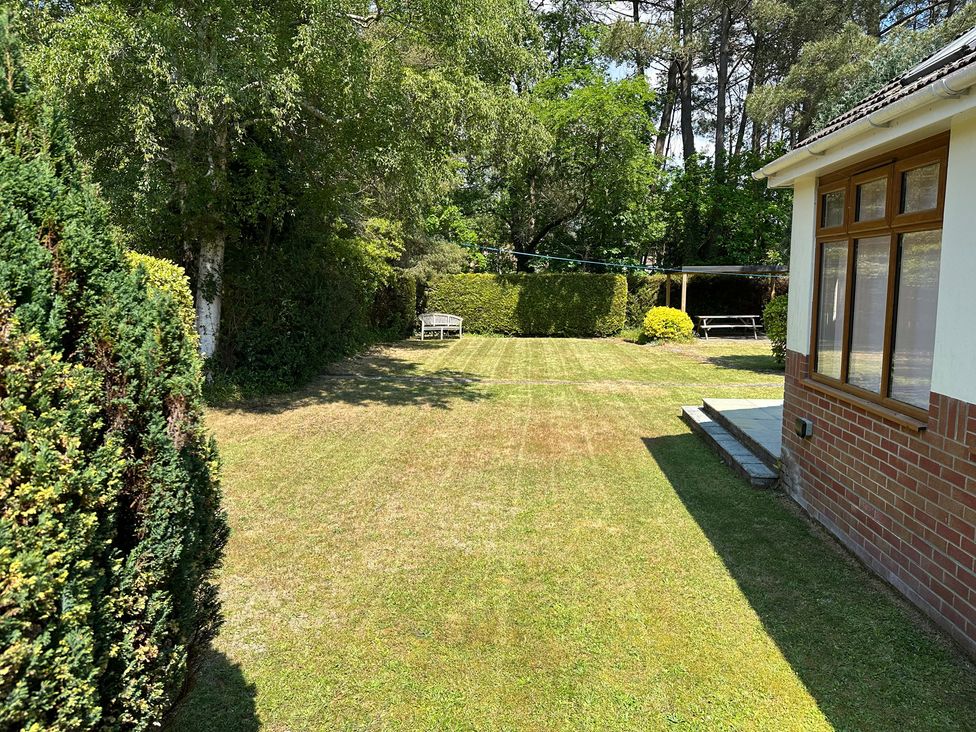 A garden with grass and trees at Pineside Sandford, Dorset