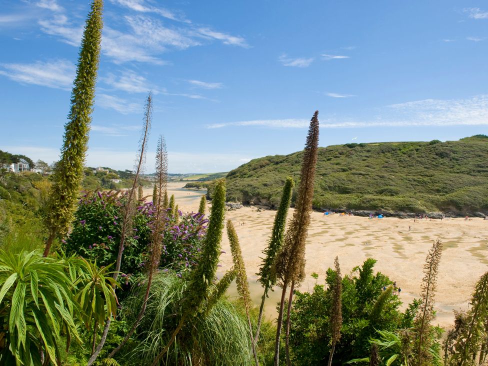 A view of a beach with plants and flowers at Carines Barns - Pen in Cubert