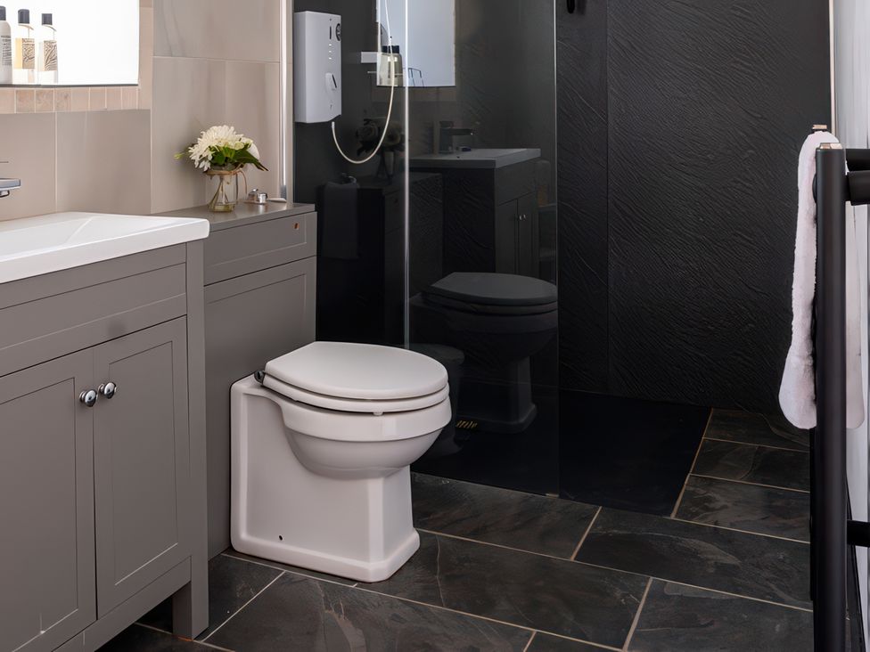 A bathroom featuring a toilet, sink, cabinet, and shower at Lower Mill in Dittisham