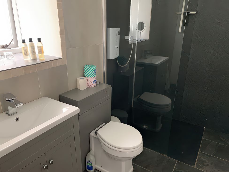 A bathroom with a sink, shower, and toilet at Lower Mill in Dittisham