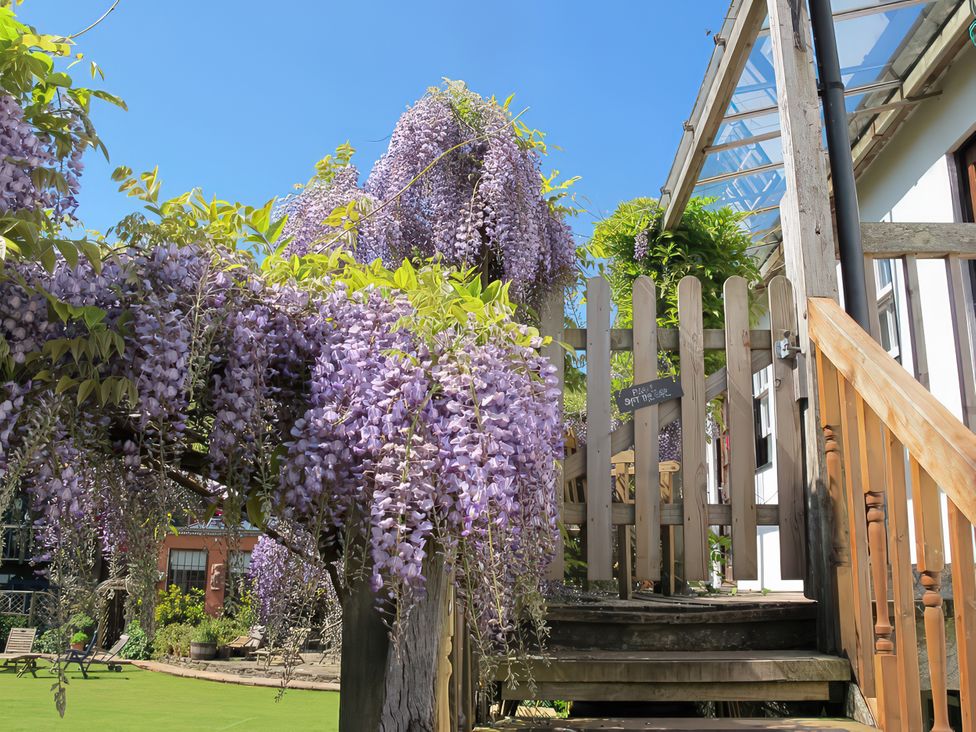 A garden with wisteria flowers near steps at Wisteria Suite in Dittisham
