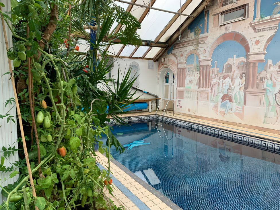 An indoor pool with plants and a mural at Barberry Brook in Dittisham