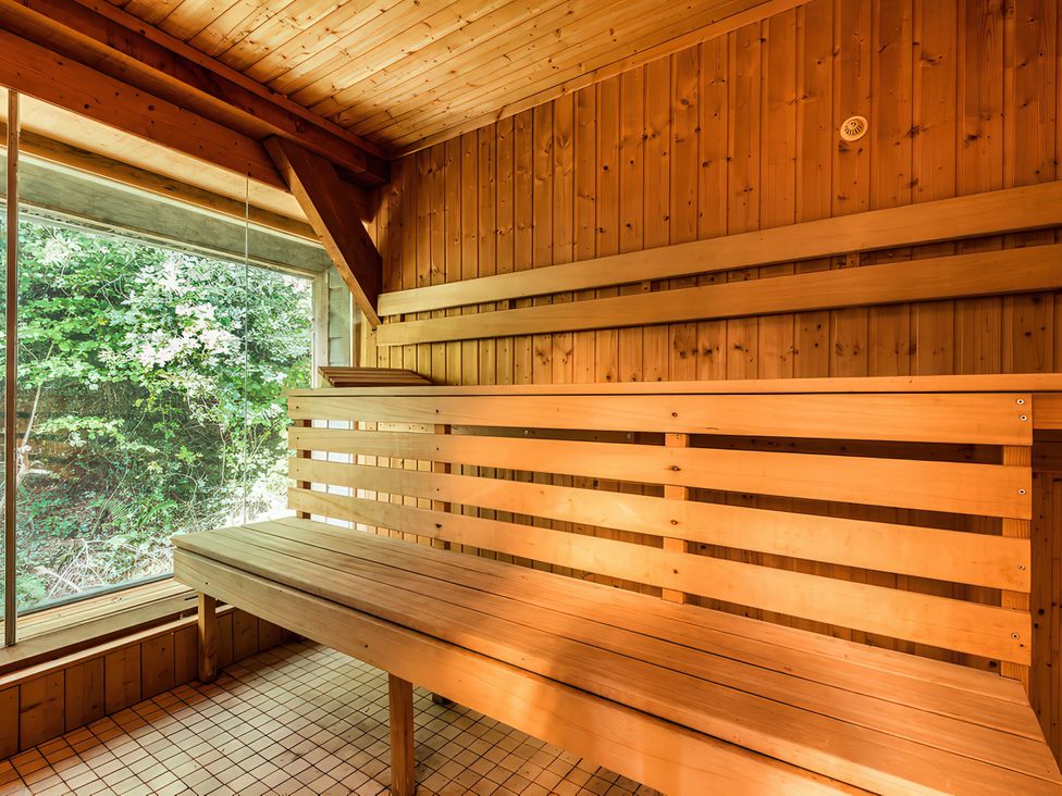 A sauna with a wooden bench and large window at Barberry Brook in Dittisham
