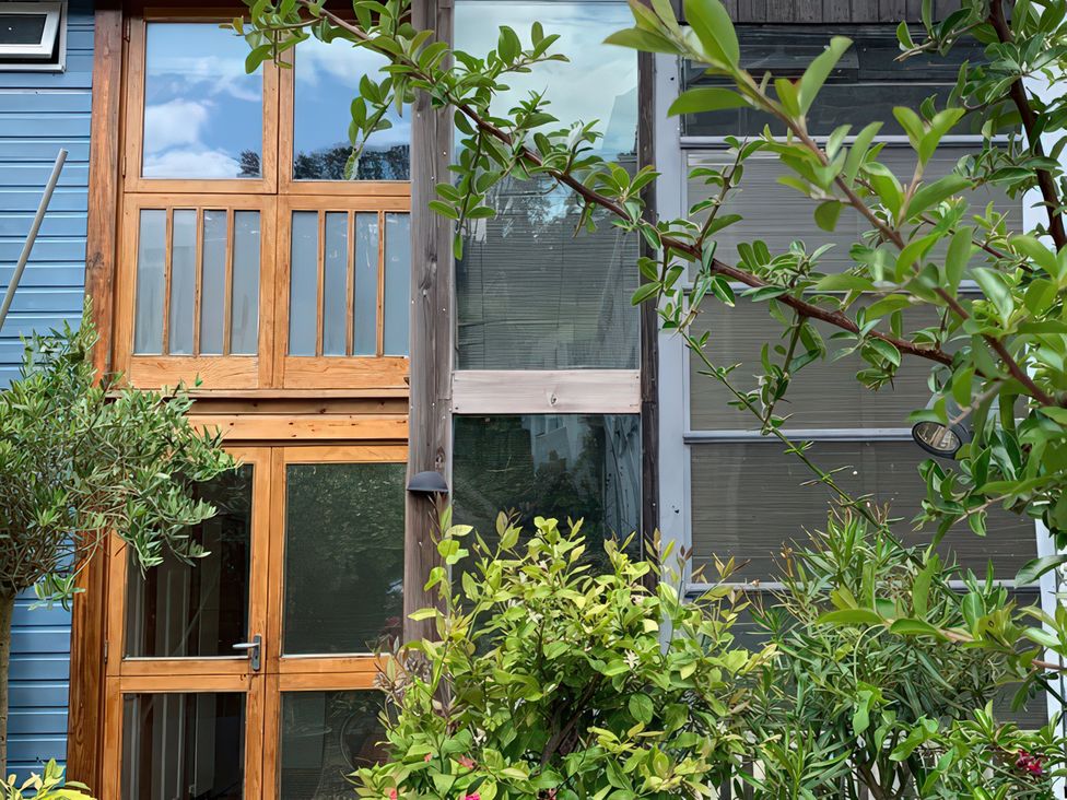 A view of windows and a door with plants at Barberry Brook in Dittisham