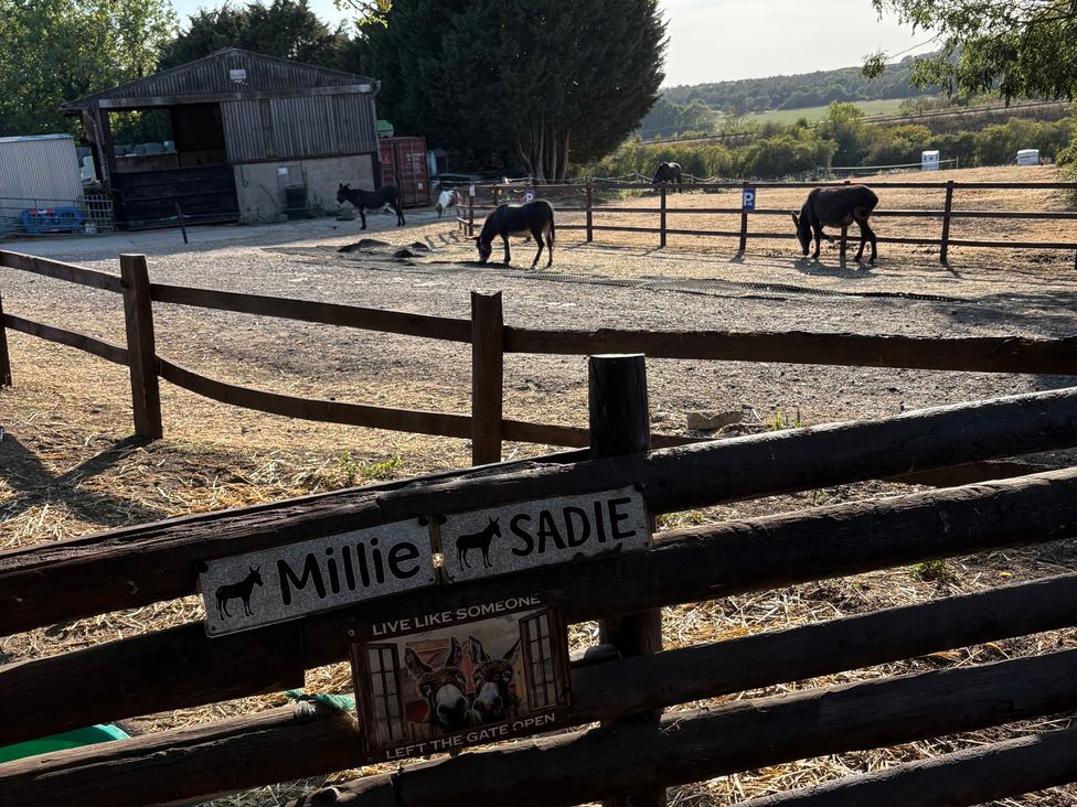 An outdoor area with horses and a barn at The Cottage in Ettington