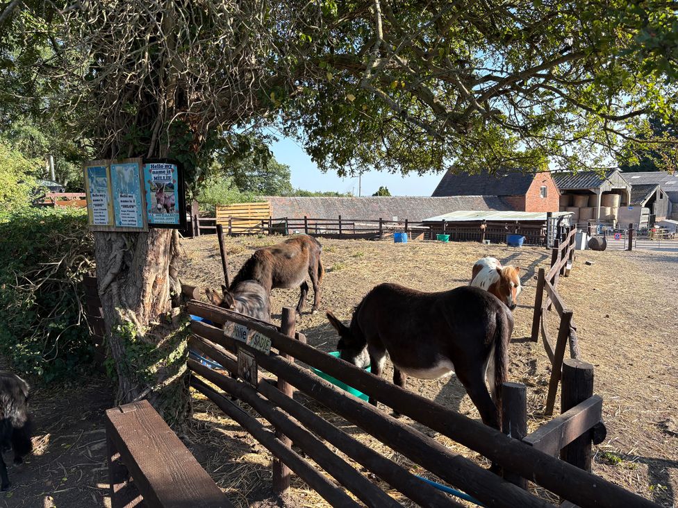An outdoor area with horses and barns at The Cottage in Ettington