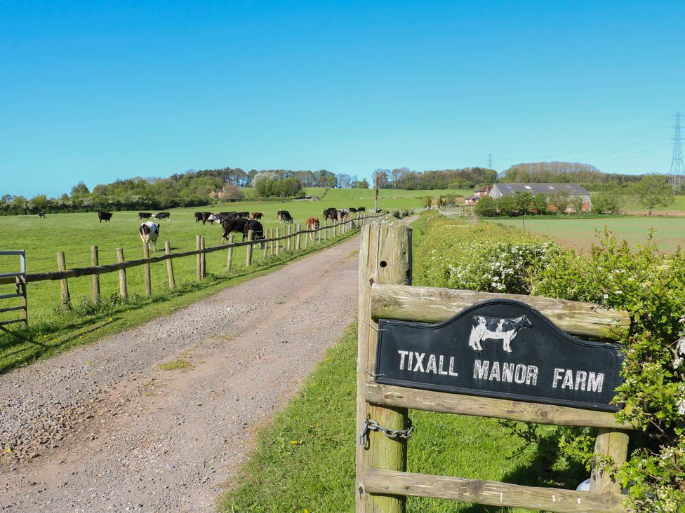 A farm entrance with cows and a road at Tixall Manor Farm in Tixall near Great Haywood