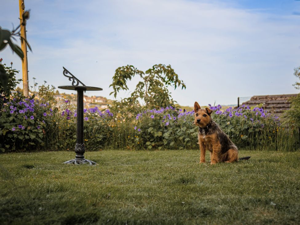 A dog sitting in a garden next to a bird bath at Wells Cottage in Holmfirth