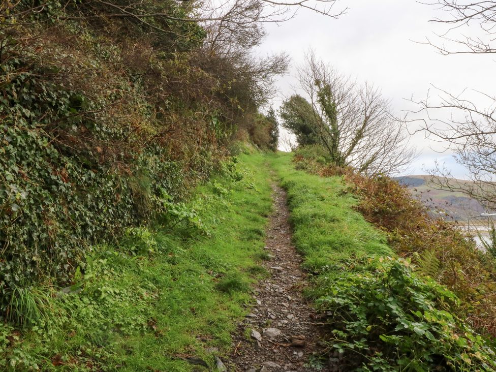 A path surrounded by foliage leading uphill at Ty'n-Y-Ffynnon Cottage in Barmouth