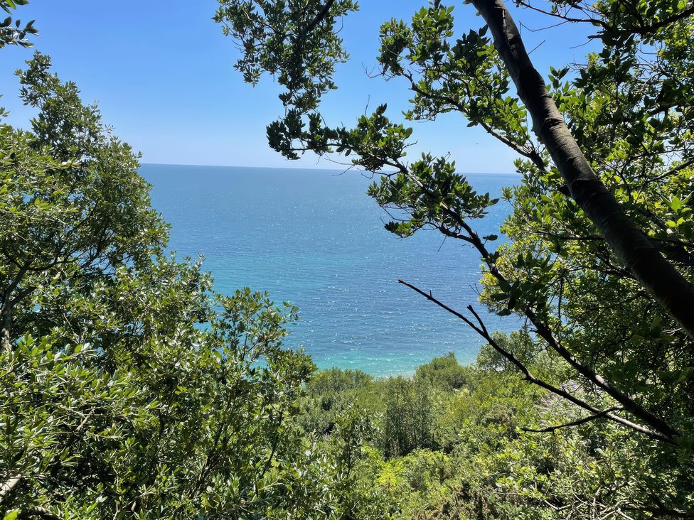 A view of the sea through trees at 10 The Gardens Rousdon near Lyme Regis