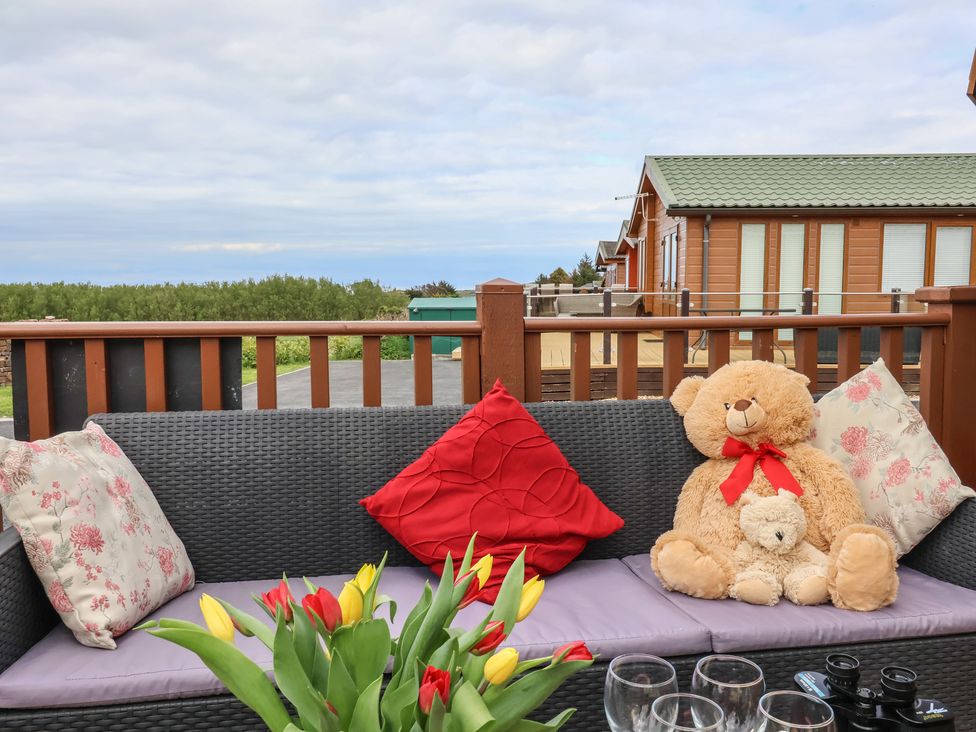 Poppy Lodge - Devon - 1130706 - thumbnail photo 3