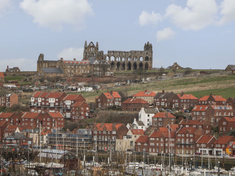 The Den - North Yorkshire (incl. Whitby) - 1130751 - thumbnail photo 17