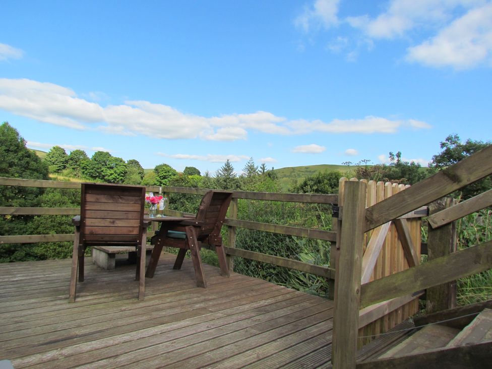 Cuckoo at Wild Valley Huts - Mid Wales - 1130779 - thumbnail photo 13