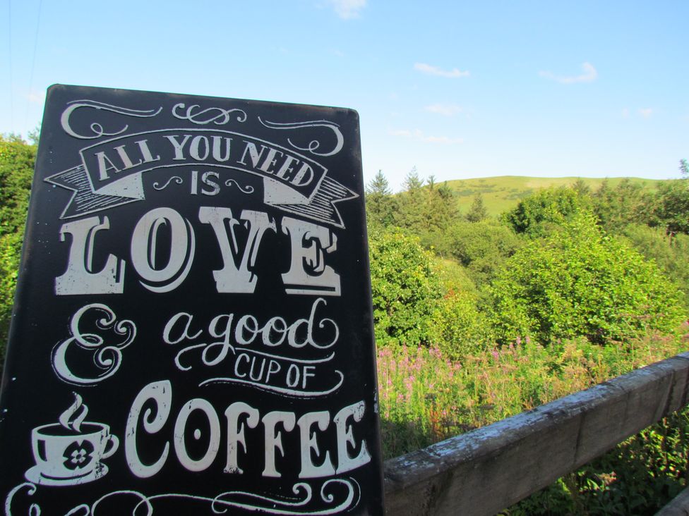 Cuckoo at Wild Valley Huts - Mid Wales - 1130779 - thumbnail photo 16