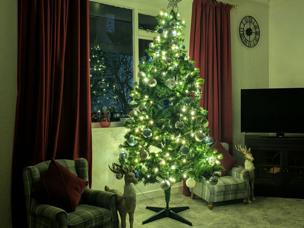 A decorated Christmas tree with lights and ornaments in a living room at Ivy House in Kingussie